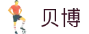 中国·Bb艾弗森(ballbet贝博)有限公司-官方网站
